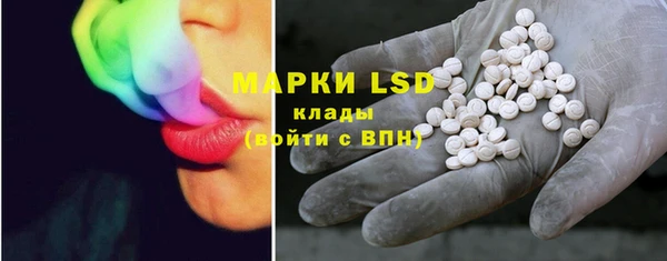 шишки Алзамай
