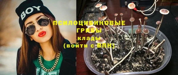 шишки Алзамай