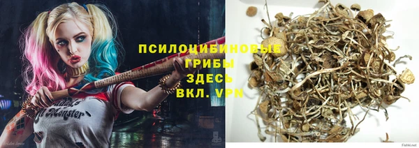 шишки Алзамай
