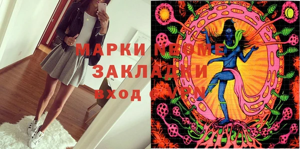 шишки Алзамай