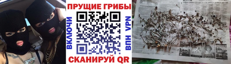 blacksprut рабочий сайт  цена наркотик  Хадыженск  Псилоцибиновые грибы MAGIC MUSHROOMS 